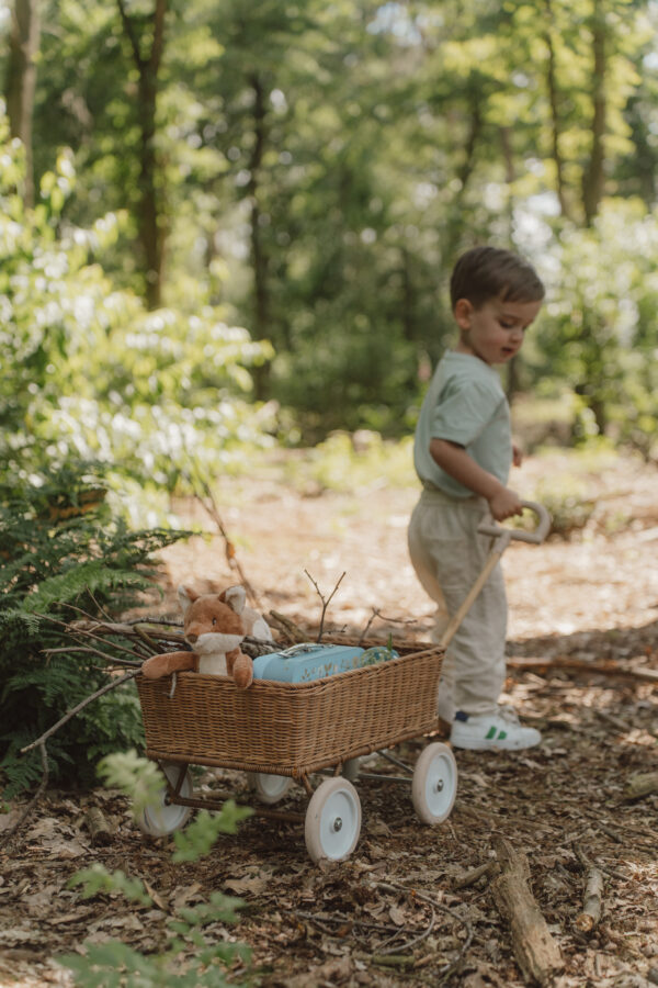 Suitcases Forest Friends FSC